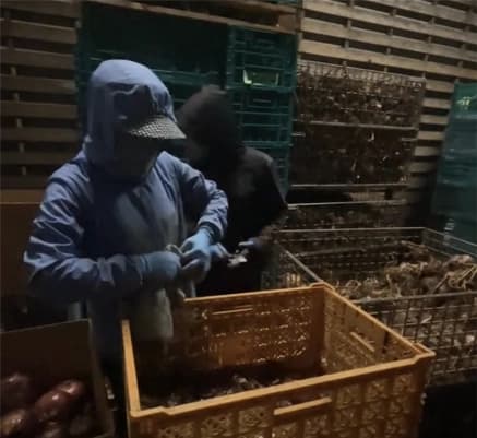 Hoạt động HelloJob 20